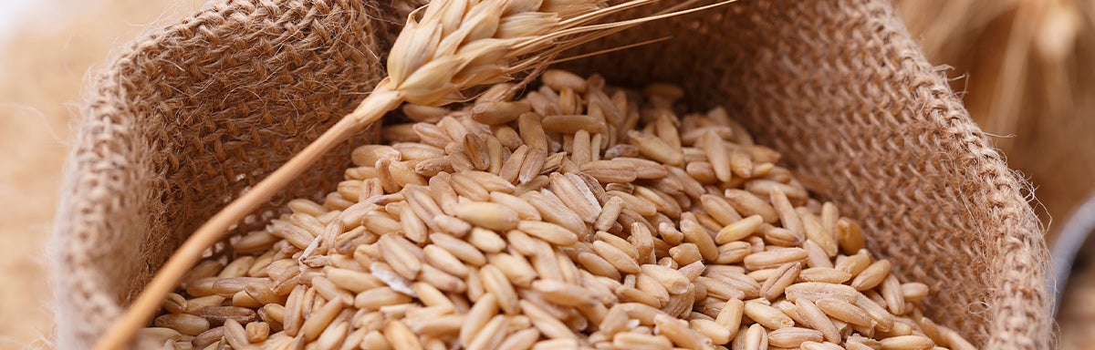 Una bolsa llena de trigo, un alimento que contiene gluten Una bolsa llena de trigo, un alimento que contiene gluten