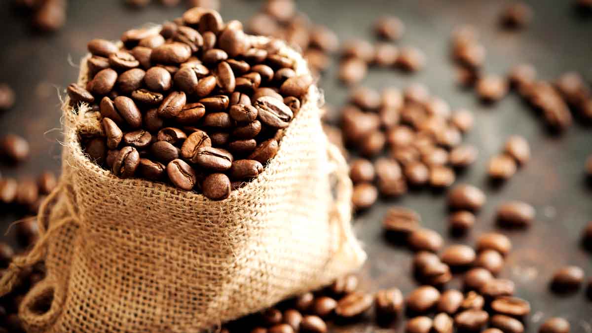 La Mundial - ¡Moler los granos de café nunca fue más fácil para obtener una  deliciosa taza de café! ☕️¿Qué te parece nuestro molino de café? 🤩  #facildeacceder #facildeelegir #facildeutilizar #divertido #Honduras #