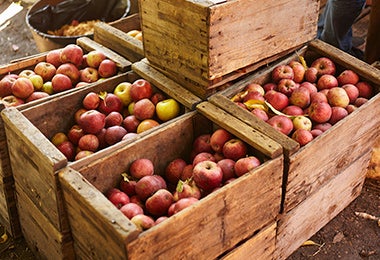 Manzanas libres de gluten, empacadas en cajas.