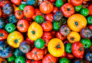 Variedad de tomates ingredientes que se usa para tatemado