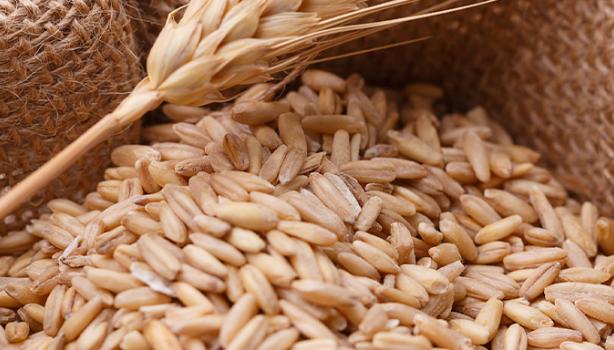 Una bolsa llena de trigo, un alimento que contiene gluten