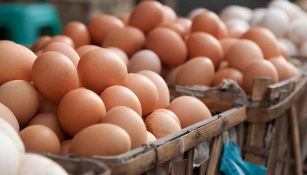 Huevos en un mercado local, sustitutos de huevo