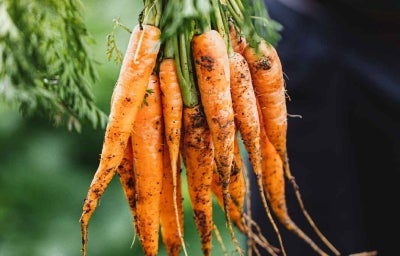 Existen muchísimas recetas con zanahoria para usarla cruda o cocinada Existen muchísimas recetas con zanahoria para usarla cruda o cocinada