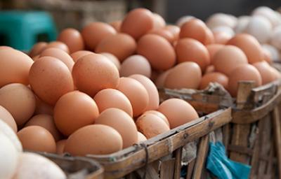 Huevos en un mercado local, sustitutos de huevo