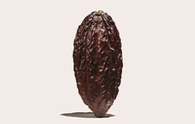 Cacao venezolano historia.