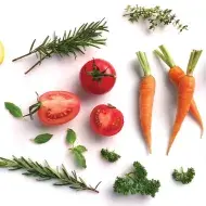 Alimentos para sembrar en huerta casera Alimentos para sembrar en huerta casera