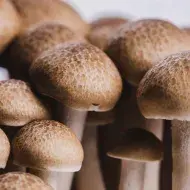 Champiñones ingredientes con sabor umami 